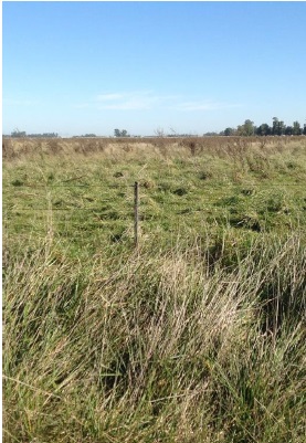las heras pasturas