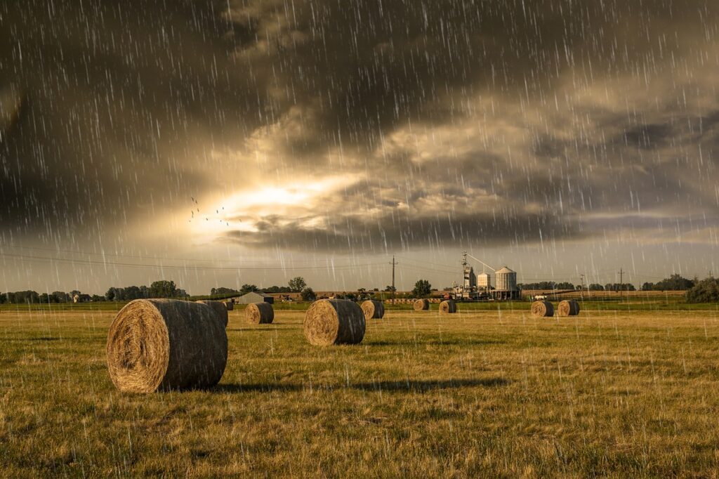 rain, shower, storm